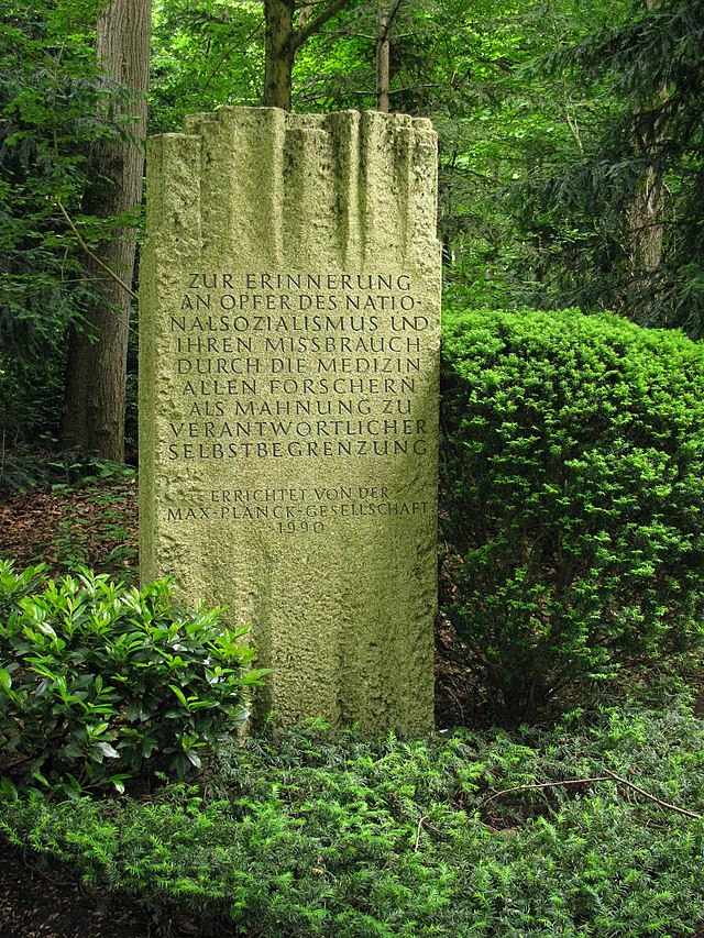 Photo of a memorial stone for victims of unethical medical research under national socialism